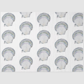 Papier Mousseline Conception de la série 3 de coquillages aquarelles