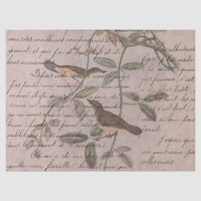 Papier Mousseline Conception de la série Oiseaux Éphémères Cinq (Recto)