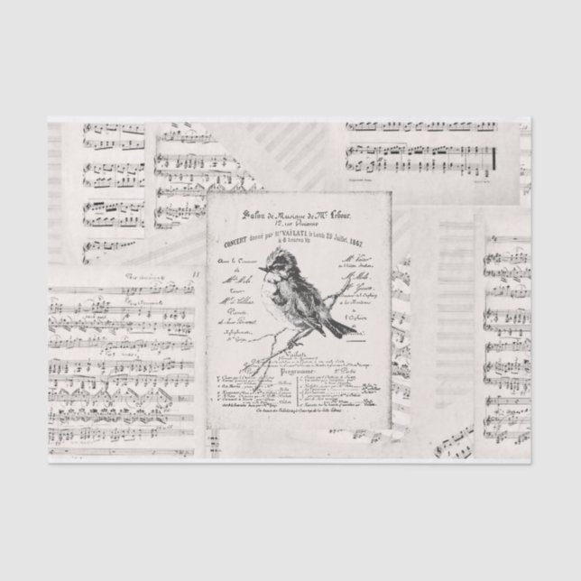 Papier Mousseline Concert de musique française Bird Sheet Musique Vi (Recto)