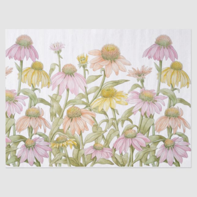 Papier Mousseline Coneflowers Watercolor (Recto)