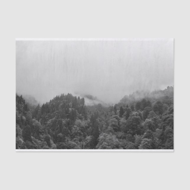 Papier Mousseline Cool, nature brumeuse magique (Recto)