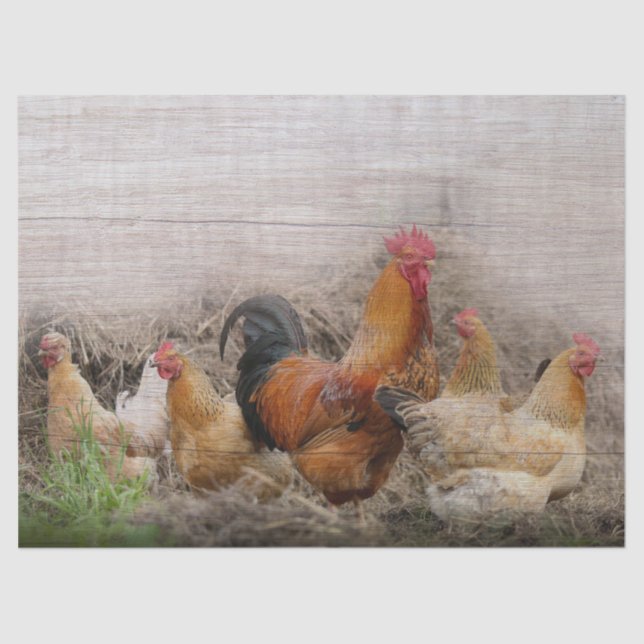 Papier Mousseline Coq et poules (Recto)