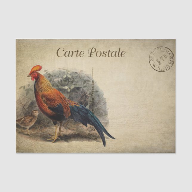 Papier Mousseline Coq Postale Carte De Style Français (Recto)