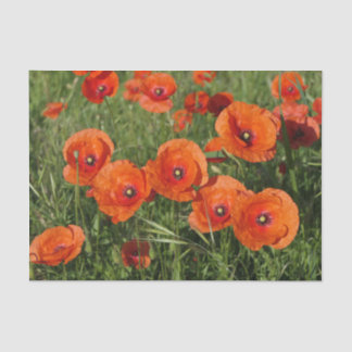 Papier Mousseline Coquelicots communs