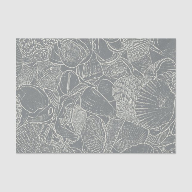 Papier Mousseline Coquillage de plage côtière gris blanc découpage (Recto)