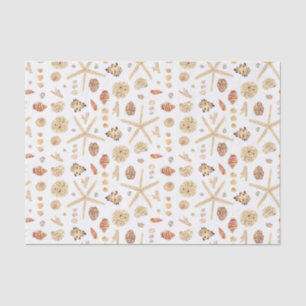Papier Mousseline Coquillages aquarelles