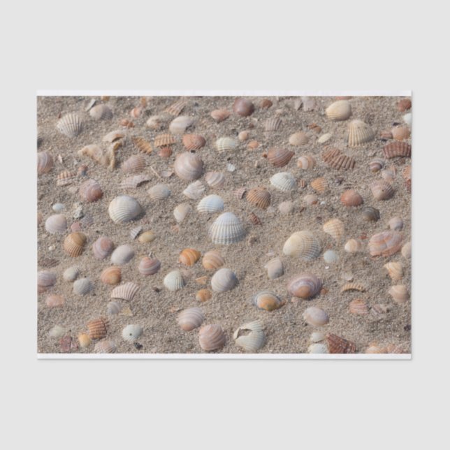 Papier Mousseline Coquillages sur la plage (Recto)