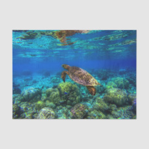 Papier Mousseline Corail de la tortue tropicale sous-marine