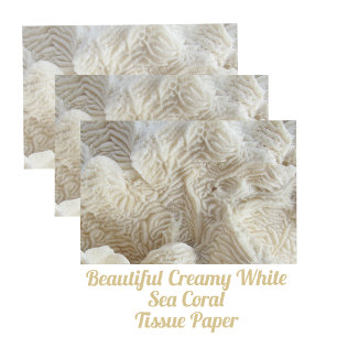 Papier Mousseline Corail de mer Belle Crémeuse Blanc Photographie