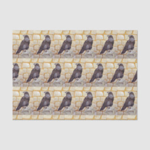 Papier Mousseline Corbeau