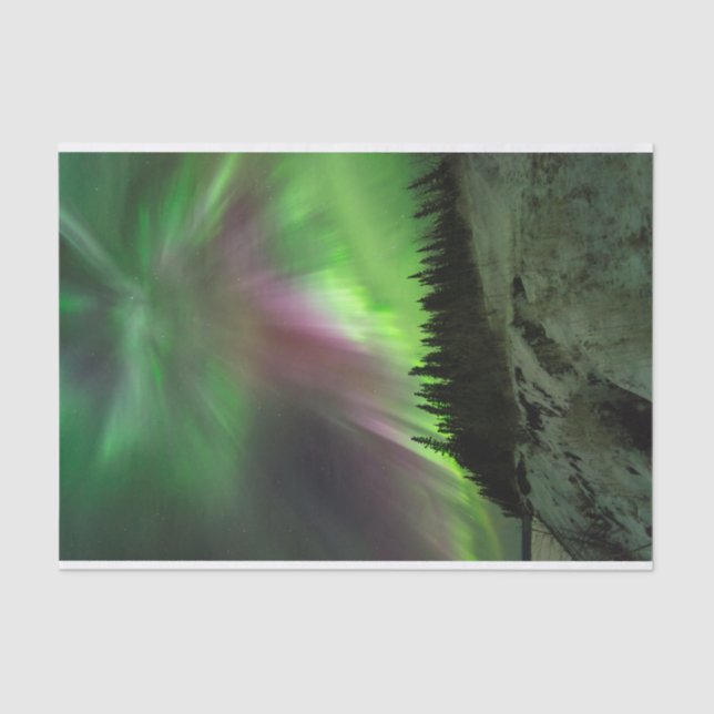 Papier Mousseline Corona Aurora (Recto)