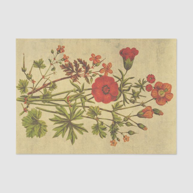 Papier Mousseline Cosmos Vintage Fleur rustique Découpage (Recto)