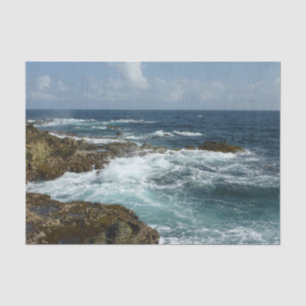 Papier Mousseline Côte rocheuse d'Aruba et océan bleu