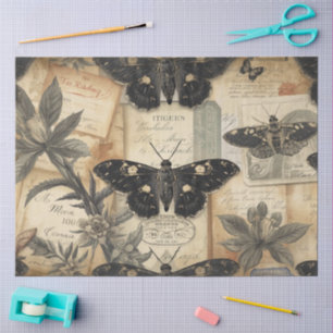 Papier Mousseline Cottagecore Lune Moth Botanicals Apothicairerie