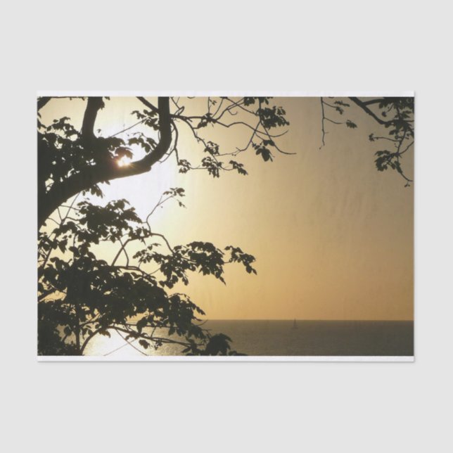 Papier Mousseline Coucher du soleil à travers les arbres II Photogra (Recto)