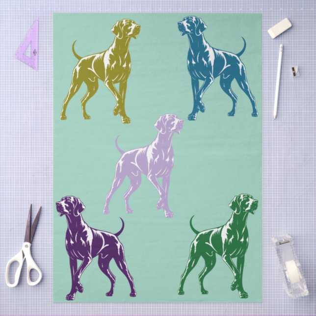 Papier Mousseline Couleur Weimaraner  (Artisanat)