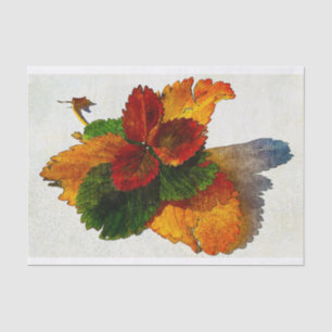 Papier Mousseline Couleurs colorées des feuilles d'automne