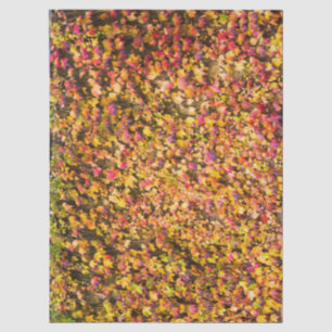 Papier Mousseline Couleurs d'automne dorées sur un mur de lierre