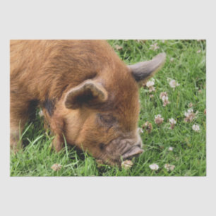 PAPIER MOUSSELINE COUPER