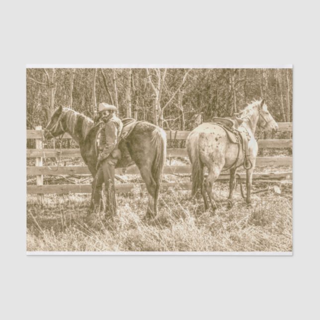 Papier Mousseline Cowboy de l'Alberta (Recto)