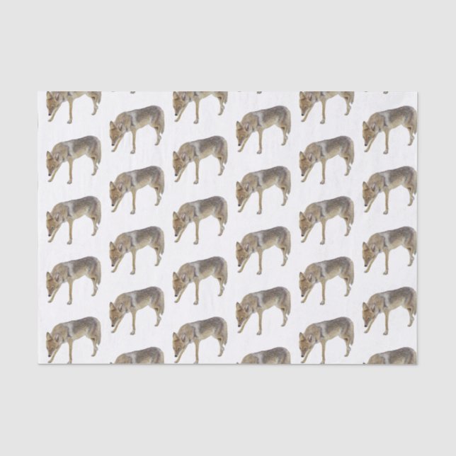 Papier Mousseline Coyote (Recto)