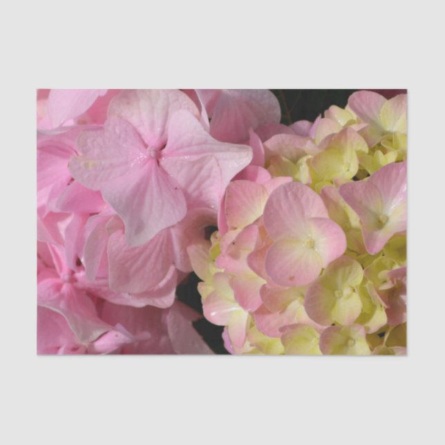 Papier Mousseline Crème rose Hydrangeas jaune rose vert floral (Recto)