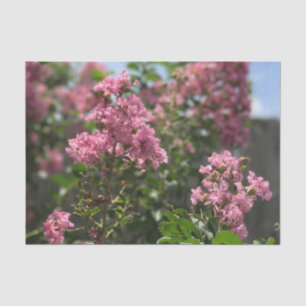 Papier Mousseline Crepe Myrtle blossom tissue paper