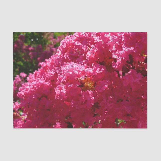 Papier Mousseline Crepe Myrtle Tree Magenta Floral (Recto)