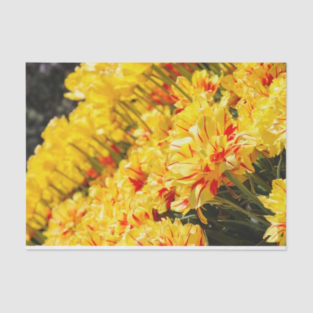 Papier Mousseline Croissance en or (Recto)