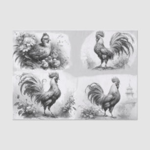 Papier Mousseline Croquis de coq