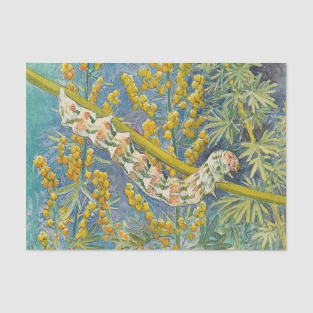 Papier Mousseline Cucullia Absinthii Wormwood (Recto)