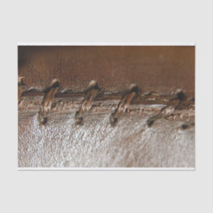 Papier Mousseline cuir piqué par primitif de la Renaissance de