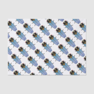 Papier Mousseline Cuisine noire
