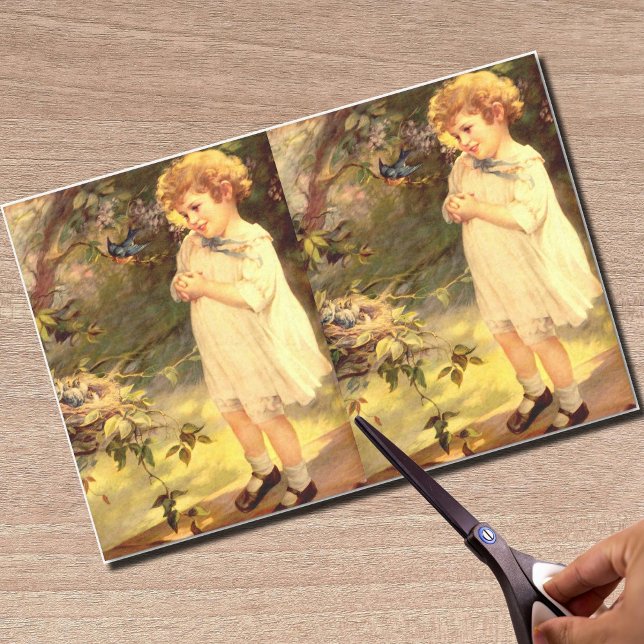 Papier Mousseline Cuisine victorienne avec oiseaux (Créateur téléchargé)