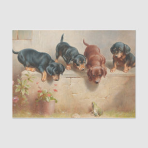 Papier Mousseline Curieux Chiots Dachshund et une grenouille par Rei