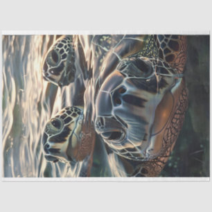 Papier Mousseline Curios Trio Tortues de la profonde découpage