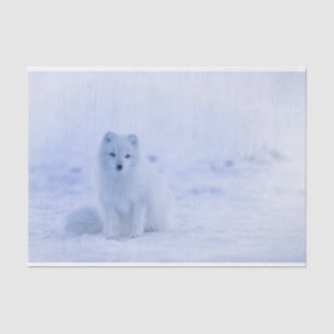 Papier Mousseline Cute Arctic Fox sur Snowy Winter Arrière - plan