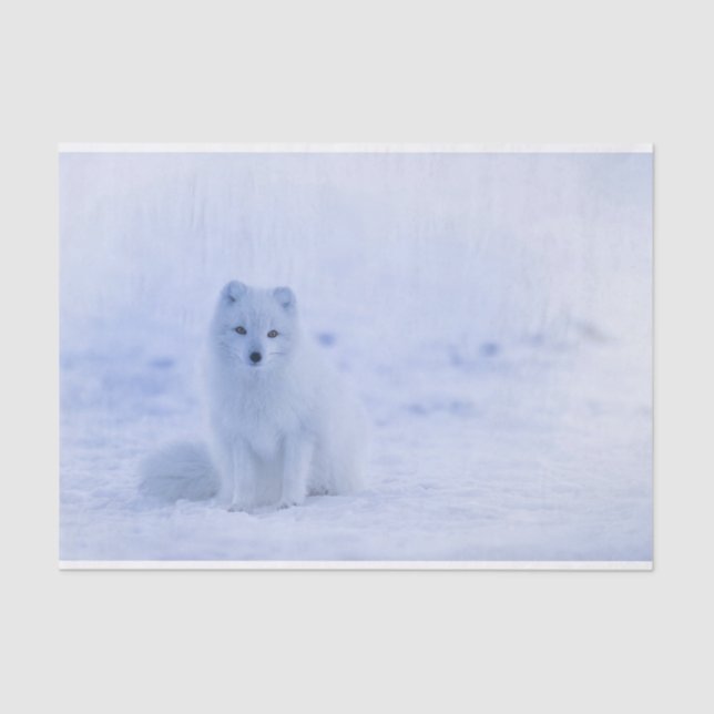 Papier Mousseline Cute Arctic Fox sur Snowy Winter Arrière - plan (Recto)