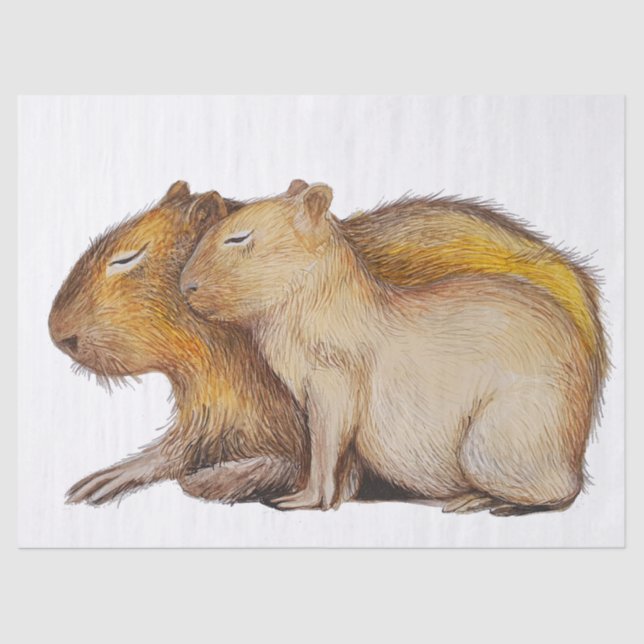 Papier Mousseline Cute Capybara Bébé Mère Aquarelle do-it-yourself (Recto)