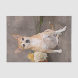 Papier Mousseline Cute Chihuahua Dog Floral Art Portrait d'animaux d