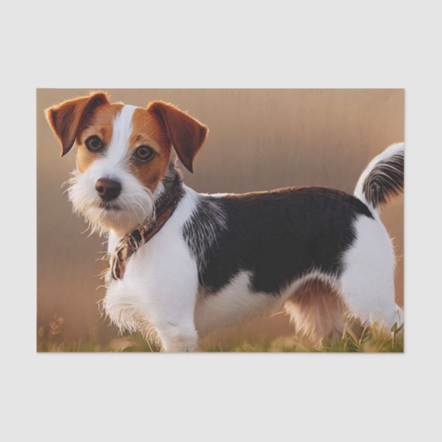 Papier Mousseline Cute Jack Russel Terrier Chien Photo (Recto)
