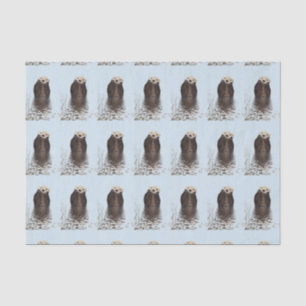 Papier Mousseline Cute Otter Face Nature Photo