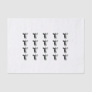 Papier Mousseline Cygne noir et blanc