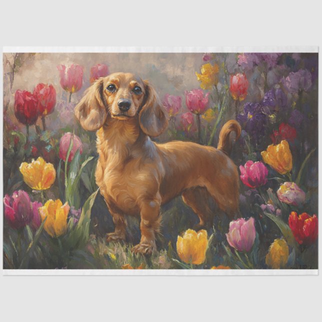 Papier Mousseline Dachshund avec les Tulipes de Printemps Peinture D (Recto)