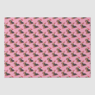 Papier Mousseline Dachshund avec Santa Hat sur papier Tissu Rose