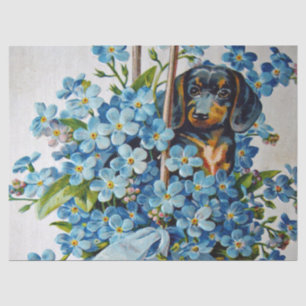 Papier Mousseline Dachshund et Forget-Me-Nots