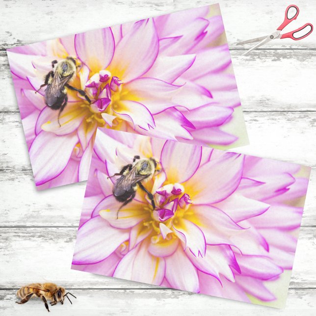Papier Mousseline Dahlia blanc et rose avec bourdon (Créateur téléchargé)