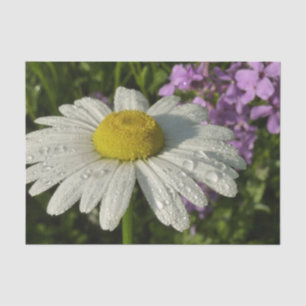 Papier Mousseline Daisy et lilas botaniques d'été