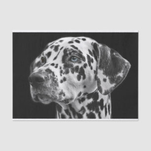 Papier Mousseline Dalmation Chien noir et blanc Découpage