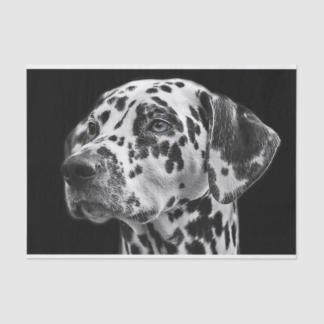 Papier Mousseline Dalmation Chien noir et blanc Découpage (Recto)